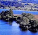Sila Lago Cecita